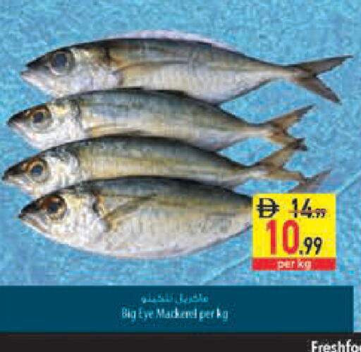 available at Safeer Market in UAE - Abu Dhabi