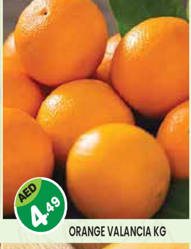Orange from Valancia available at Baniyas Spike  in UAE - Abu Dhabi