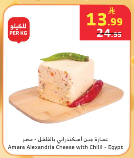 Chilli available at الراية in مملكة العربية السعودية, السعودية, سعودية - تبوك