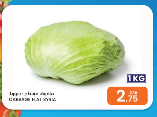 Cabbage from Syria available at البلدي اليوم in قطر - الشمال