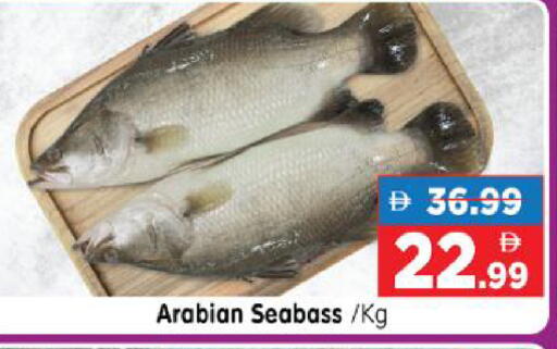 available at هايبر ماركت المدينة in الإمارات العربية المتحدة , الامارات - أبو ظبي