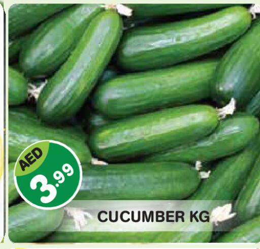 Cucumber available at Baniyas Spike  in UAE - Abu Dhabi