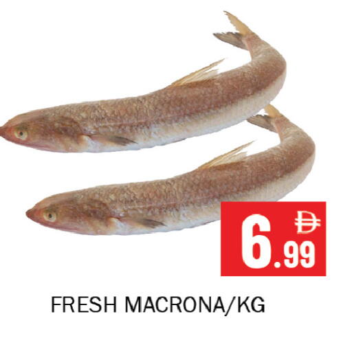 available at Souk Al Mubarak Hypermarket in UAE - Sharjah / Ajman