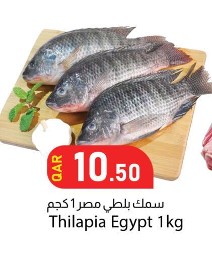 available at دانا ماركت in قطر - الدوحة