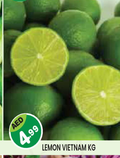 Lemon from Vietnam available at Baniyas Spike  in UAE - Abu Dhabi