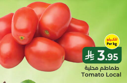 Tomato available at كبايان هايبرماركت in مملكة العربية السعودية, السعودية, سعودية - جدة