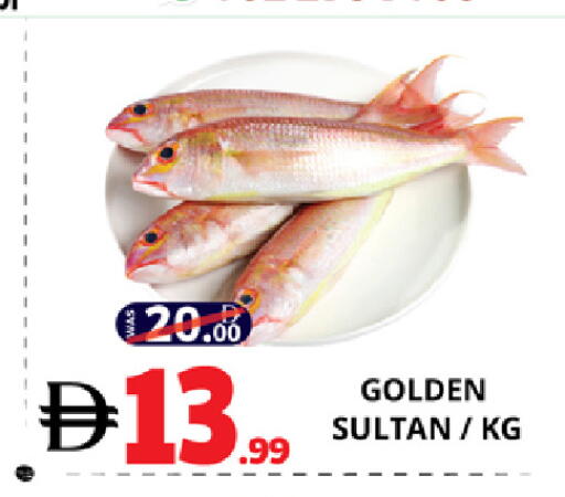 available at EXPRESS AL MADEENA HYPERMARKET LLC in UAE - Abu Dhabi