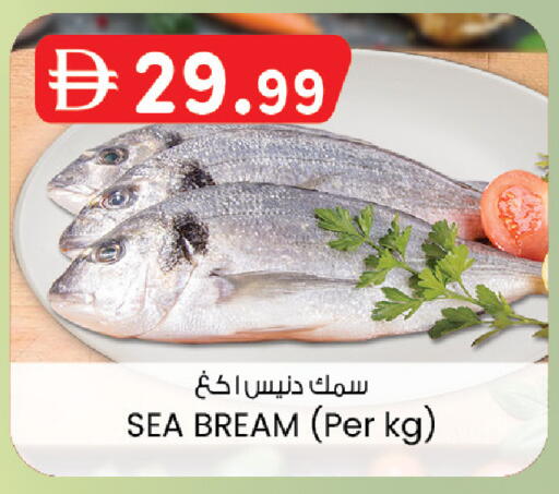 available at ك. الم. للتجارة in الإمارات العربية المتحدة , الامارات - دبي