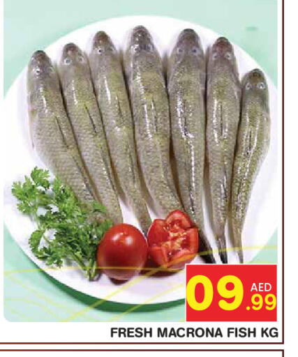 available at Baniyas Spike  in UAE - Abu Dhabi
