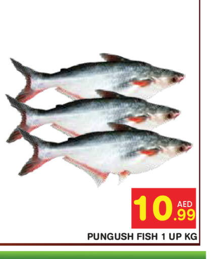 available at Baniyas Spike  in UAE - Abu Dhabi