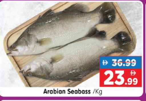 available at هايبر ماركت المدينة in الإمارات العربية المتحدة , الامارات - أبو ظبي