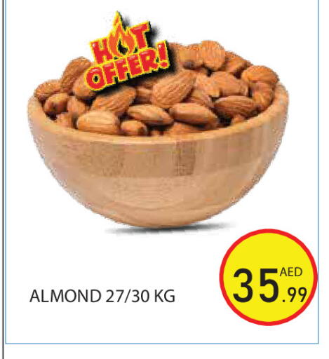 available at Baniyas Spike  in UAE - Abu Dhabi