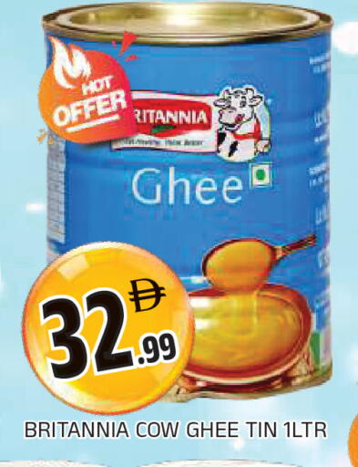 available at المدينة in الإمارات العربية المتحدة , الامارات - الشارقة / عجمان
