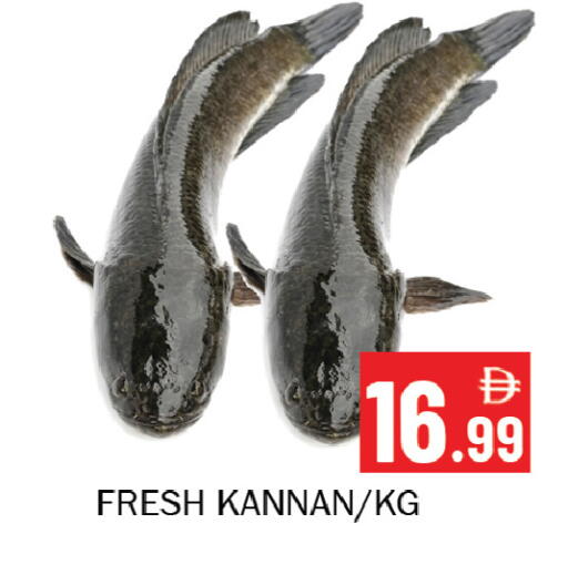 available at Souk Al Mubarak Hypermarket in UAE - Sharjah / Ajman