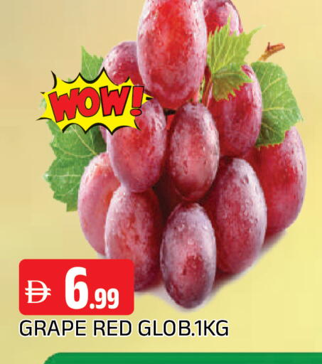 available at المدينة in الإمارات العربية المتحدة , الامارات - الشارقة / عجمان