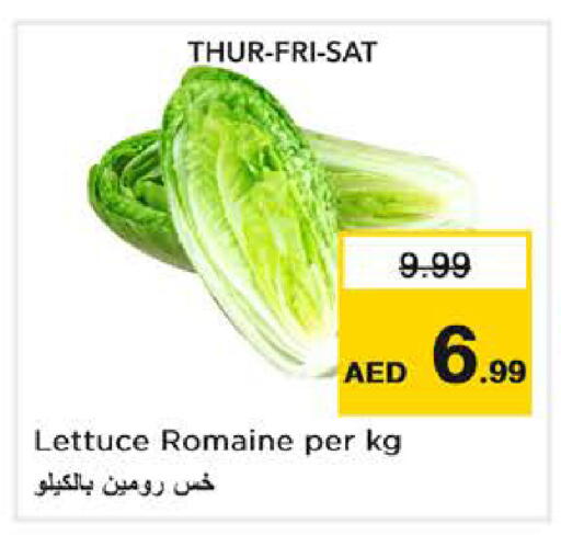 Lettuce available at Nesto Hypermarket in UAE - Dubai
