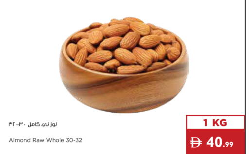 available at إسطنبول سوبرماركت in الإمارات العربية المتحدة , الامارات - رَأْس ٱلْخَيْمَة