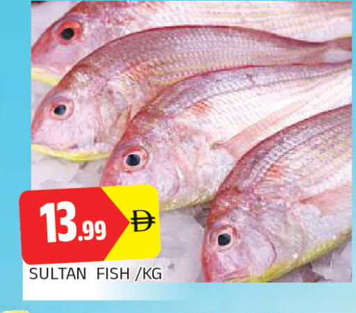 available at AL MADINA in UAE - Sharjah / Ajman