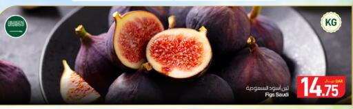 available at ســبــار in قطر - أم صلال