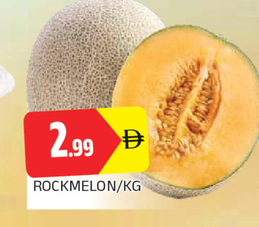 available at المدينة in الإمارات العربية المتحدة , الامارات - الشارقة / عجمان