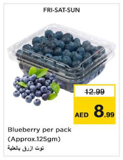 Blueberry BlueBerry available at Nesto Hypermarket in UAE - Dubai