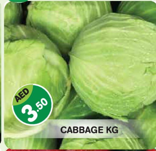 Cabbage available at Baniyas Spike  in UAE - Abu Dhabi