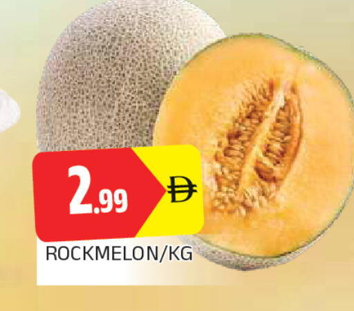 available at المدينة in الإمارات العربية المتحدة , الامارات - الشارقة / عجمان