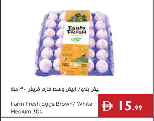 available at Istanbul Supermarket in UAE - Abu Dhabi