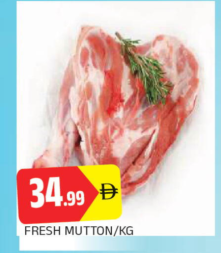 available at المدينة in الإمارات العربية المتحدة , الامارات - الشارقة / عجمان