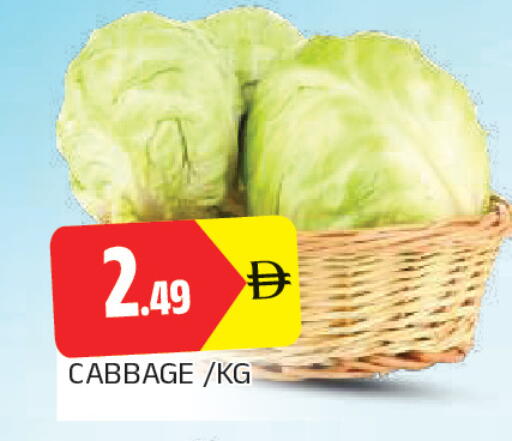 Cabbage available at المدينة in الإمارات العربية المتحدة , الامارات - الشارقة / عجمان