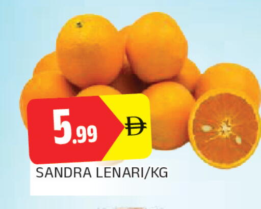 available at المدينة in الإمارات العربية المتحدة , الامارات - الشارقة / عجمان