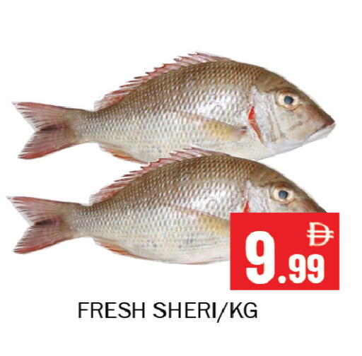 available at Souk Al Mubarak Hypermarket in UAE - Sharjah / Ajman