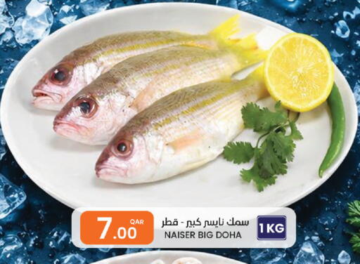 available at Al Baladi Al Yawm in Qatar - Al Wakra