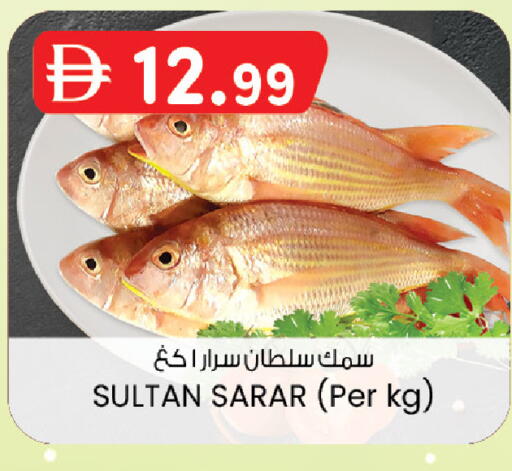 available at ك. الم. للتجارة in الإمارات العربية المتحدة , الامارات - دبي