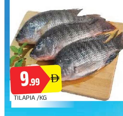 available at AL MADINA in UAE - Sharjah / Ajman