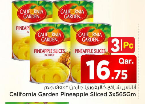 Pineapple available at Mark & Save  in Qatar - Al Shamal