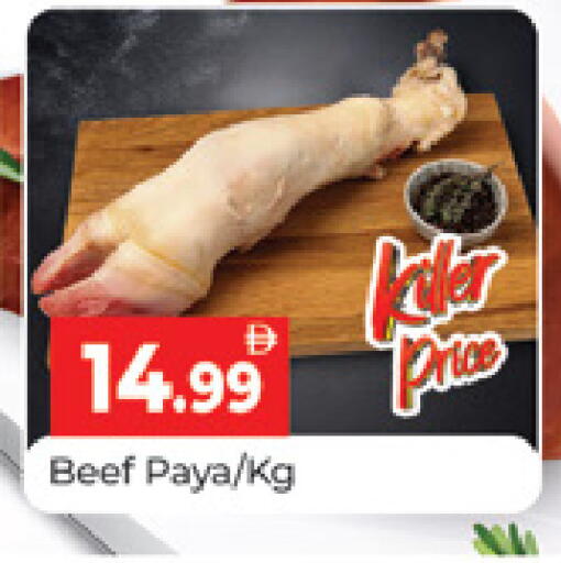 available at المدينة in الإمارات العربية المتحدة , الامارات - دبي