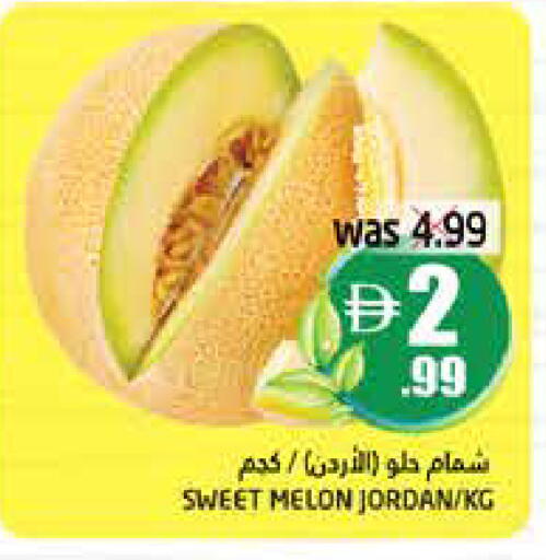 Melon from Jordan available at Pasons Hypermarket in UAE - Dubai