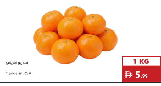Mandarin available at Istanbul Supermarket in UAE - Sharjah / Ajman