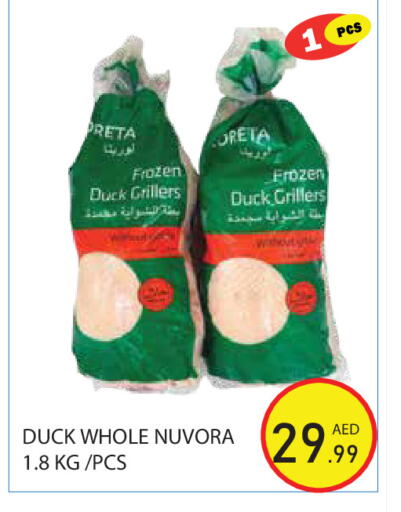 available at Baniyas Spike  in UAE - Abu Dhabi