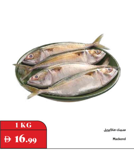 available at تروليز سوبرماركت in الإمارات العربية المتحدة , الامارات - الشارقة / عجمان