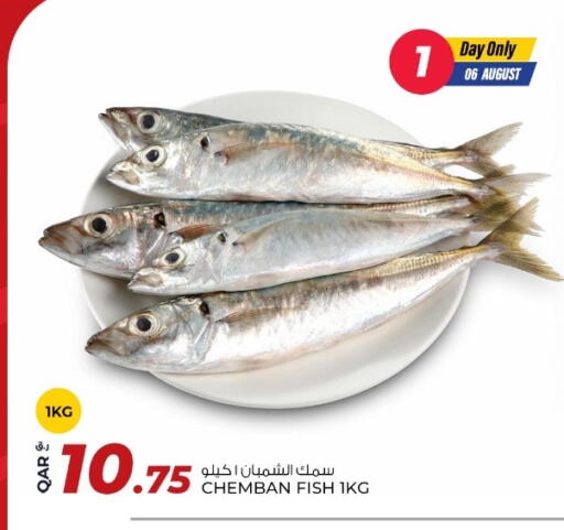available at روابي هايبرماركت in قطر - الدوحة