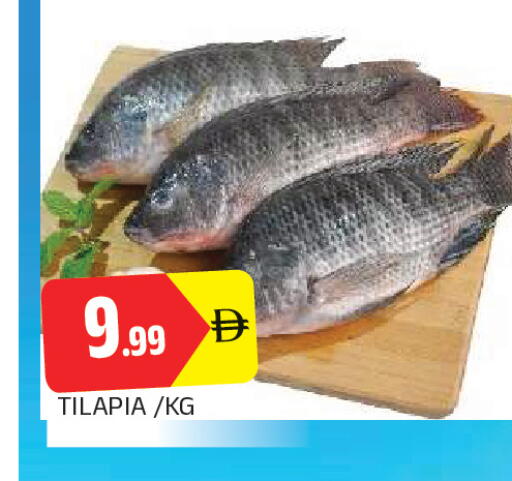 available at المدينة in الإمارات العربية المتحدة , الامارات - الشارقة / عجمان