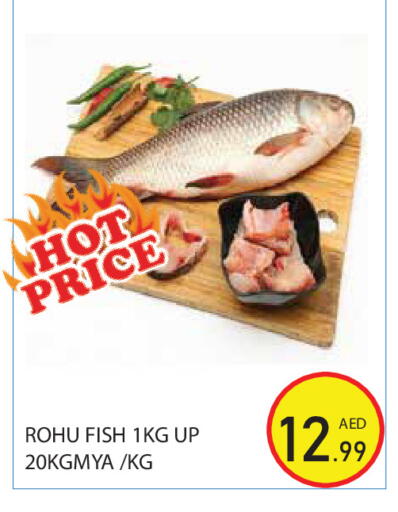 available at Baniyas Spike  in UAE - Abu Dhabi