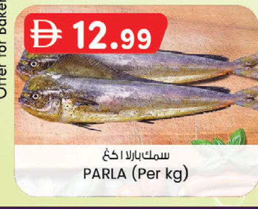 available at ك. إم. هايبرماركت in الإمارات العربية المتحدة , الامارات - الشارقة / عجمان