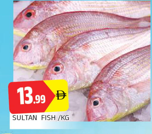 available at المدينة in الإمارات العربية المتحدة , الامارات - الشارقة / عجمان