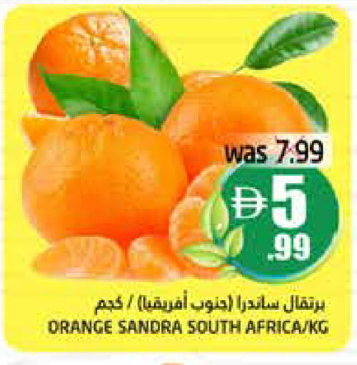 Orange from South Africa available at Pasons Hypermarket in UAE - Dubai