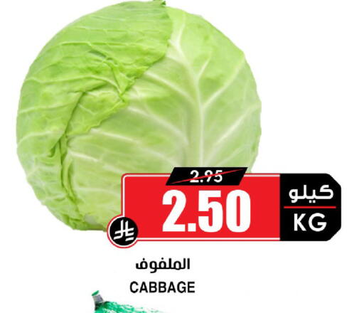 Cabbage available at أسواق النخبة in مملكة العربية السعودية, السعودية, سعودية - تبوك
