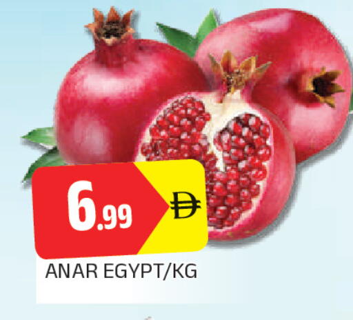from Egypt available at AL MADINA in UAE - Sharjah / Ajman