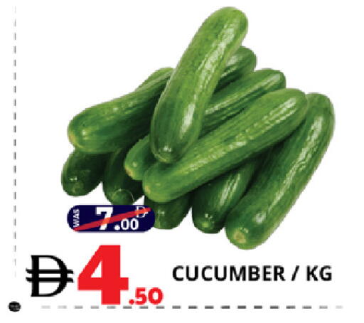 Cucumber available at EXPRESS AL MADEENA HYPERMARKET LLC in UAE - Abu Dhabi